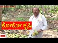 ಕೋಕೋ ಕೃಷಿ-The Cultivation and Harvesting of Cocoa(kannada)