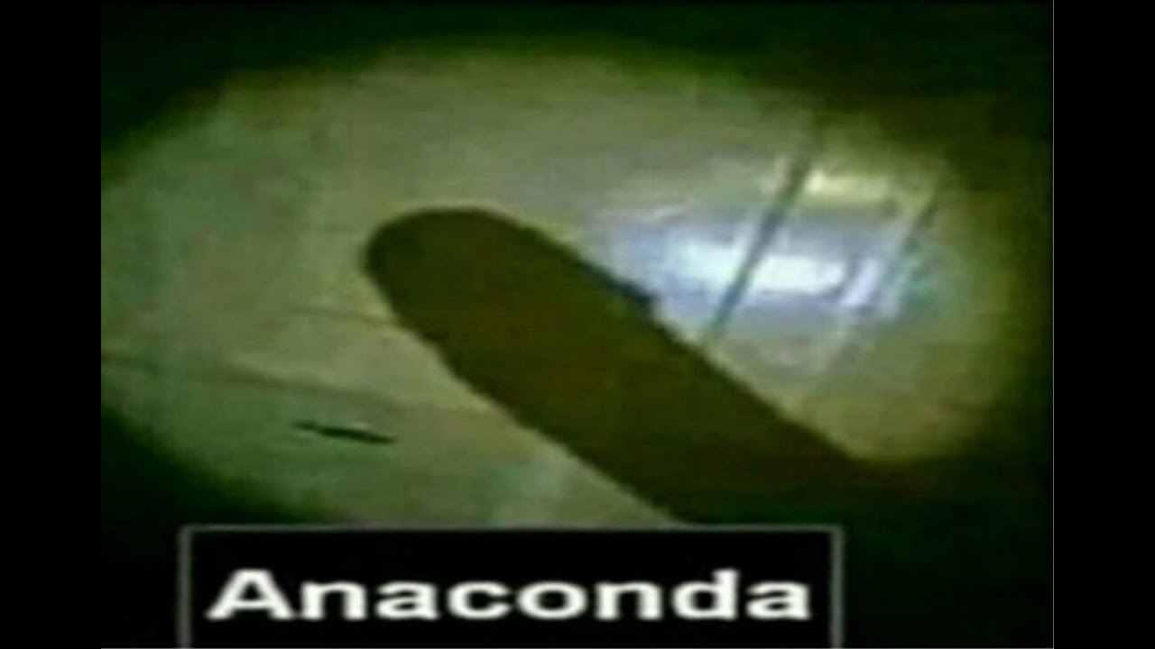Песня она бомба анаконда. Anaconda Мем. Анаконда Мем с тенью.