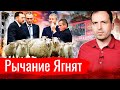 Рычание Ягнят // АгитПроп 03.05.2021