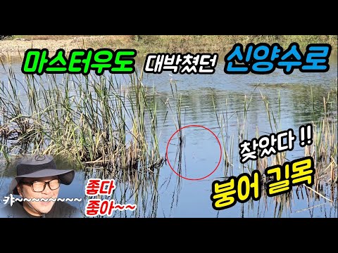 #붕어낚시 // 마스터우도 대박쳤던 산양천// 찾았다~~ 붕어길목^^