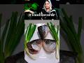 🦈 Fish head curry for good eyesightby naima aapa |#ayurveda#healthy#eyesight#fish#curry#viral#shorts