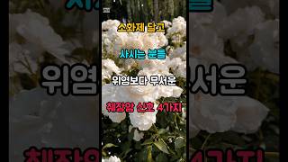 소화불량이라고 무시하면 안 되는 이유 #췌장암 #건강