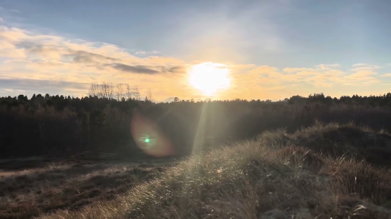 Rømø, November 2025 