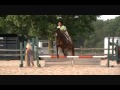 Not my papas mustang in maiden novice class 6 at tranquility