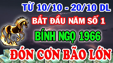 BÍ MẬT ĐỘNG TRỜI: Bính Ngọ 1966 Chuẩn Bị Đón CƠN BÃO LỚN Trong Đại Vận 2025!