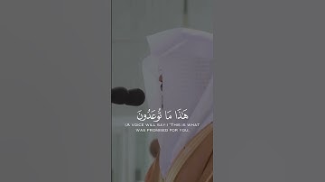 وَأُزْلِفَتِ الْجَنَّةُ لِلْمُتَّقِينَ غَيْرَ بَعِيدٍ - القارئ ياسر الدوسري