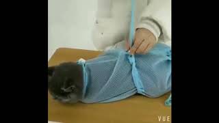 Cat Grooming Bag