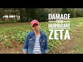 Damage From Hurricane Zeta // Gardening with Creekside