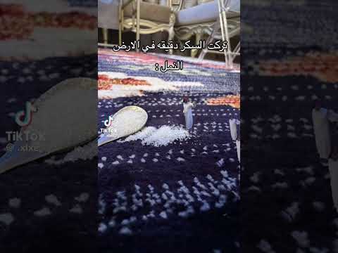 تركت السكر دقيقه في الأرض النمل