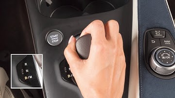 2021 INFINITI QX50 - Shift Lever