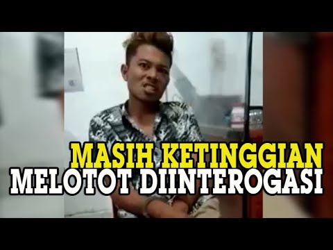 Video: Bisakah anjing makan narkoba?