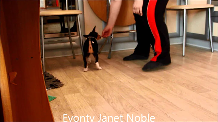 Evonty Janet Noble