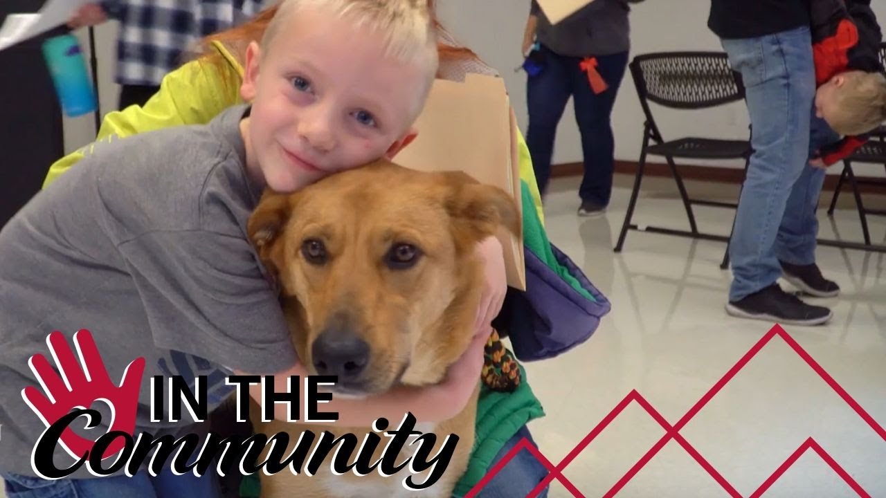 Mountain America Covers All Adoption Fees For Humane Society Of Utah Event Youtube