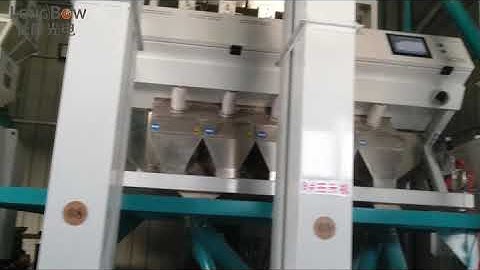 rice optical sorting machine on customer site