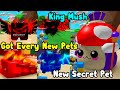 Got New Secret Pet King Mush & All New Legendary Pets! Update - Bubble Gum Simulator