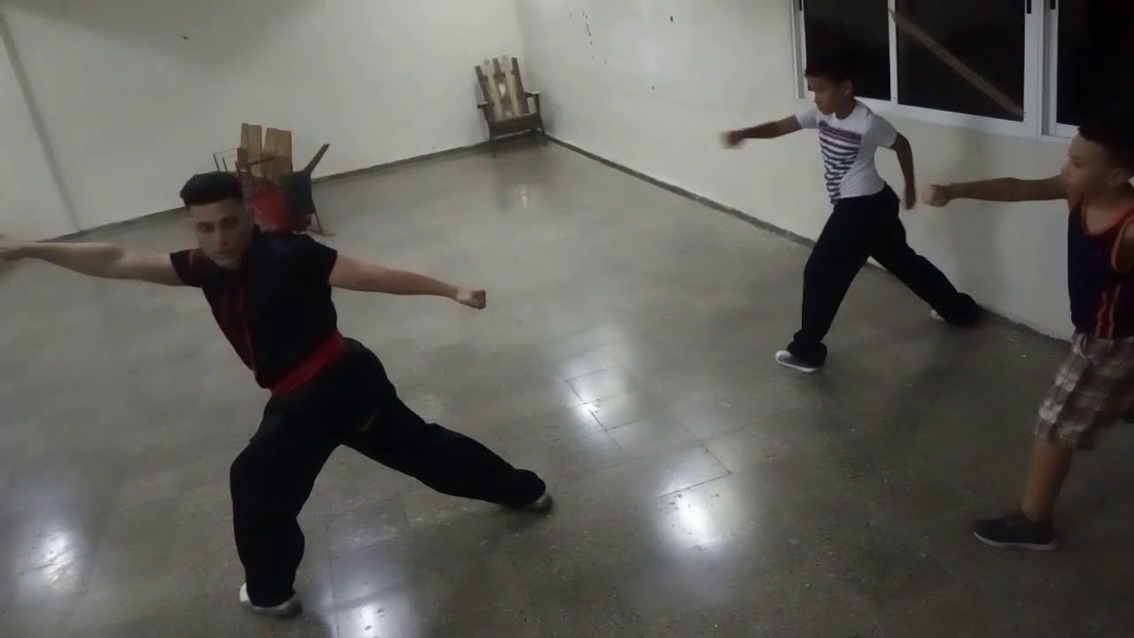 Professional Cuban Choy Lee Fut Kung Fu Sifu Yonieddy Pupo´s Training ...