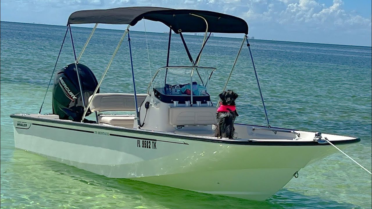 Boston Whaler Montauk 170 — новый член семьи