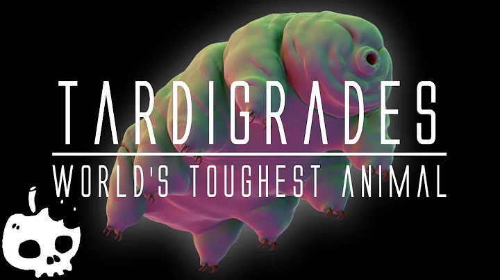 Tardigrades (World's Toughest Animal)