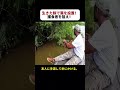 生きた餌で罠を設置！ 捕食者を狙え！ #アマゾン川 #ナマズ釣り #ワニガメ #生き餌チャレンジ #危険な釣り