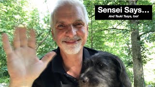 Sensei Says...