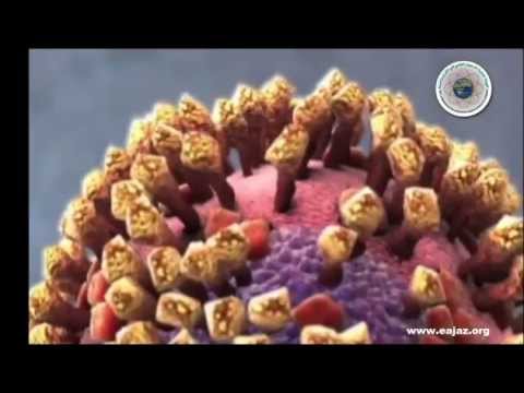 الإعجاز الطبي في الطهارة فضيلة الدكتور عبدالله بن عبدالعزيز المصلح