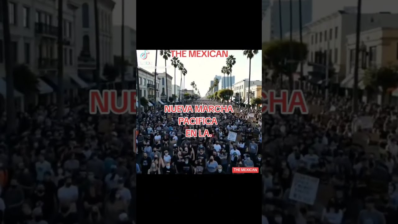 Protesta Pacifica Contra 1C3 En El Centro De Los Angeles Themexican 