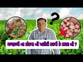 મગફળી ના ડોડવા ખરીદવા કે દાણા ? | સંપૂર્ણ માહિતી |