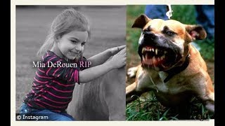 Dangerous Dog Attack Interview: Huge Pitbull attacks and Kills 3 year old girl