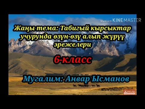 Video: Кырсыкта өзүн кандай алып жүрүү керек