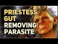 Ask Priestess Gut to Remove Illithid Parasite Baldur's Gate 3