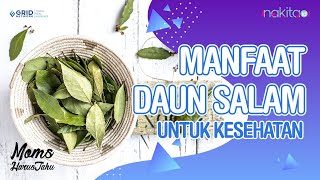 TERMURAH JAMU DAUN SALAM KERING -500 GRAM