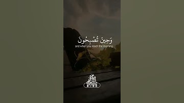 "فَسُبْحَانَ اللَّهِ حِينَ تُمْسُونَ وَحِينَ تُصْبِحُونَ" بصوت القارئ زيد الدليمي