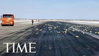 This Russian Plane Was Carrying So Much Gold That Its Cargo Door Burst Open During Takeoff | TIME
