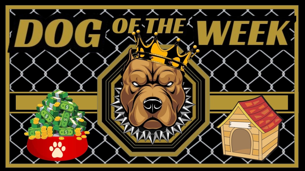 DOG OF THE WEEK FOR UFC MEXICO!!!