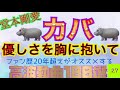 【剛君が一番最初に作った神曲!!!!】『優しさを胸に抱いて』なんと!年の違う剛君が合作したソング!!!