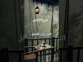 شريفة فاضل الل يل موال العشاق