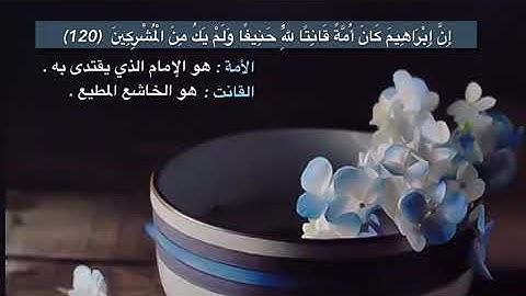 ما تيسر من سورة النحل(١٢٠ - ١٢٣)