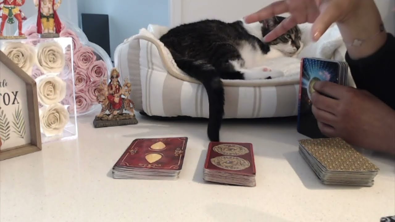 THEY ADMIRE that you MOVE LIKE A LONE WOLF. They LEARN alot from your BALANCE. It’s VERY attractive