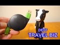 ライトニングUSBケーブル！Deff TRAVEL BIZ Lightning