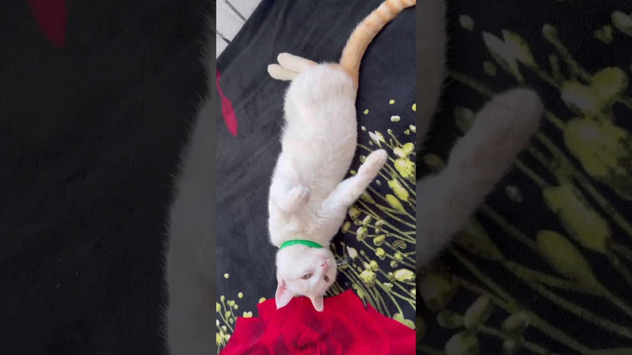 Чтобы нравиться девушкам 