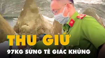 Thu giữ 93kg nghi sừng tê giác có nguồn gốc từ châu Phi gần sân bay Tân Sơn Nhất