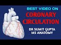 CORONARY CIRCULATION OF HEART