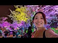 Cherryblossoms & Jewellumination at Yomiuri Land Amusement Park🌃🌸🎡#cherryblossomsjapan 