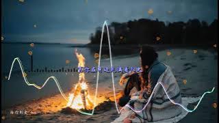 2021華語網絡流行音樂 ||《陪你到老》|| 海倫 || 動態歌詞