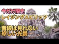 【今だけ限定】 レイジングスピリッツで見た事ない光景が!!  /  東京ディズニーシー