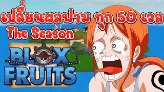 BloxFruits TheSeason (สุ่มผลฟามตั้งแต่เวล 1 เปลี่ยนทุก 50 เวล) Ep7