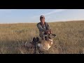 Archery Hunting in the Southern Alberta Prairies