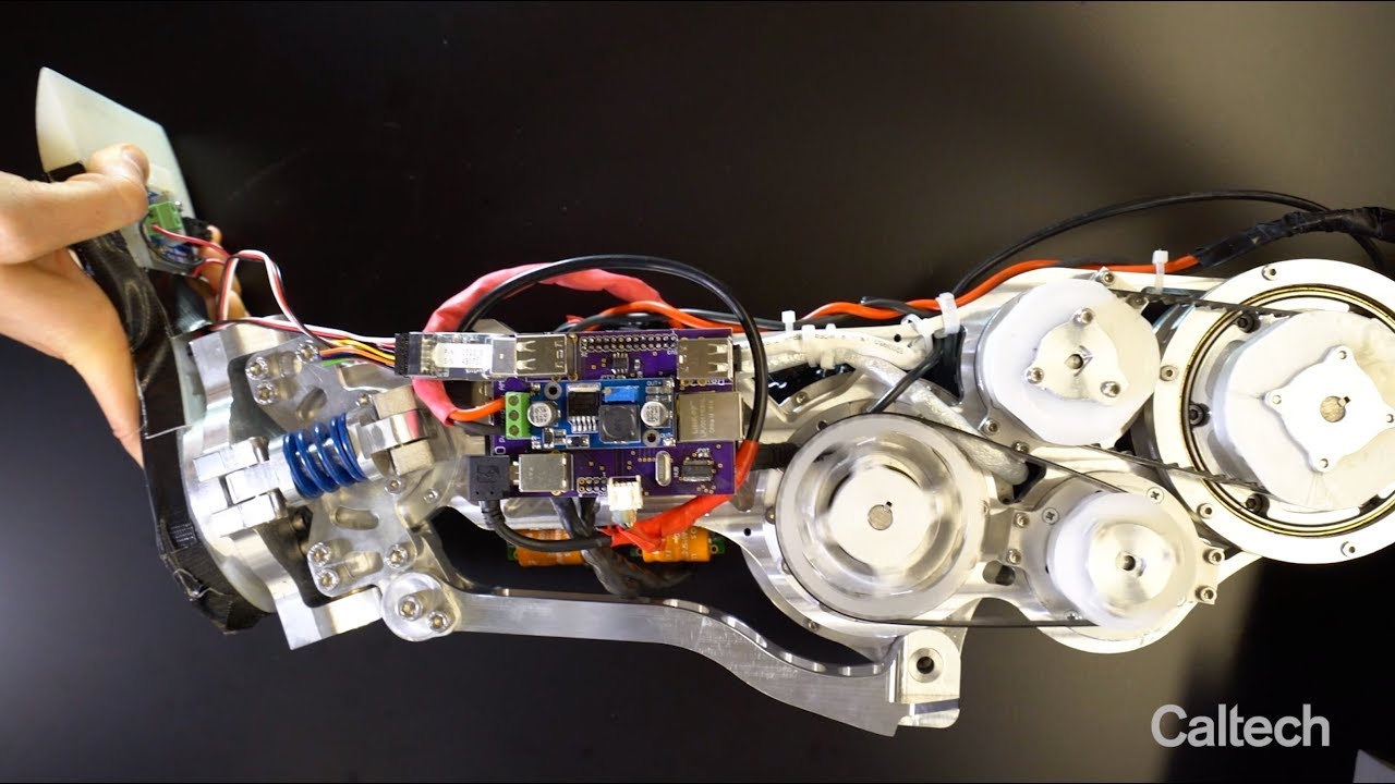 RoAM: Robotic Assisted Mobility