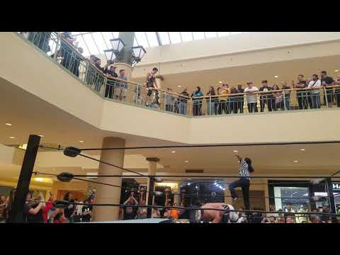 Wildkat Sports star PJ Hawx Insane Dive From Second Floor Mall Balcony