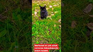 Şükür Bu Günde Doydular.😻🥰